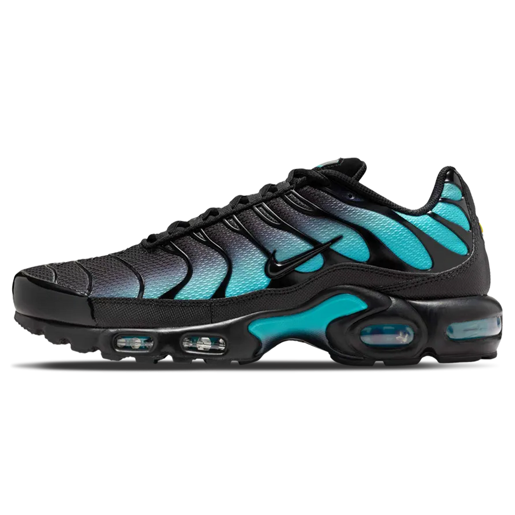 Nike Air Max Plus 'Black Dusty Cactus'