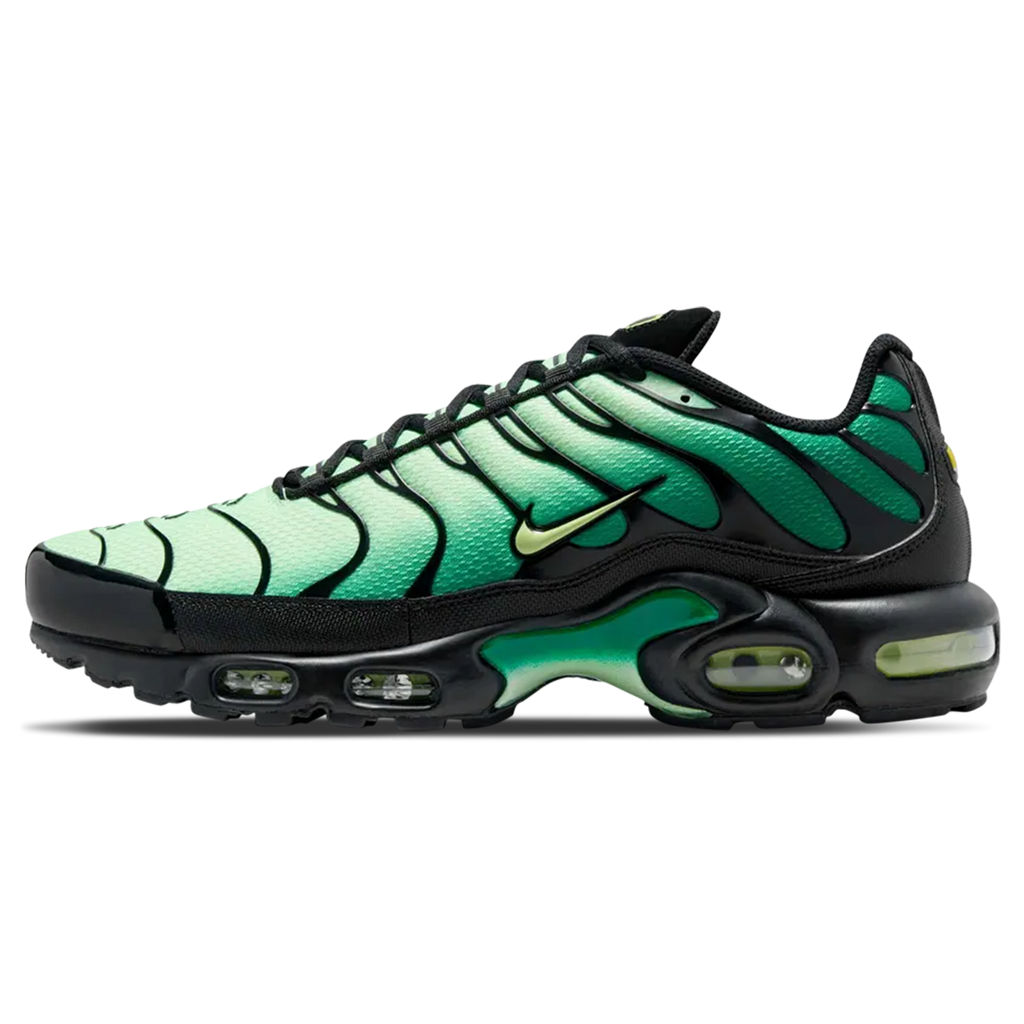 Nike Air Max Plus 'Vapor Green Gradient'