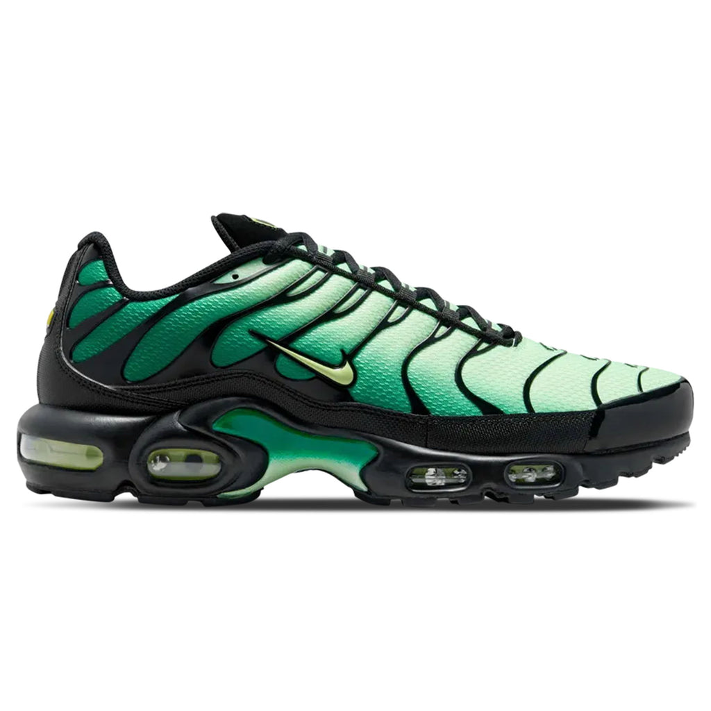 Nike Air Max Plus 'Vapor Green Gradient'