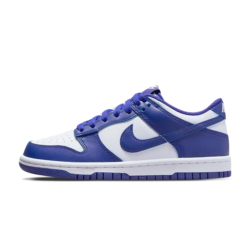 Nike Dunk Low GS 'Concord'