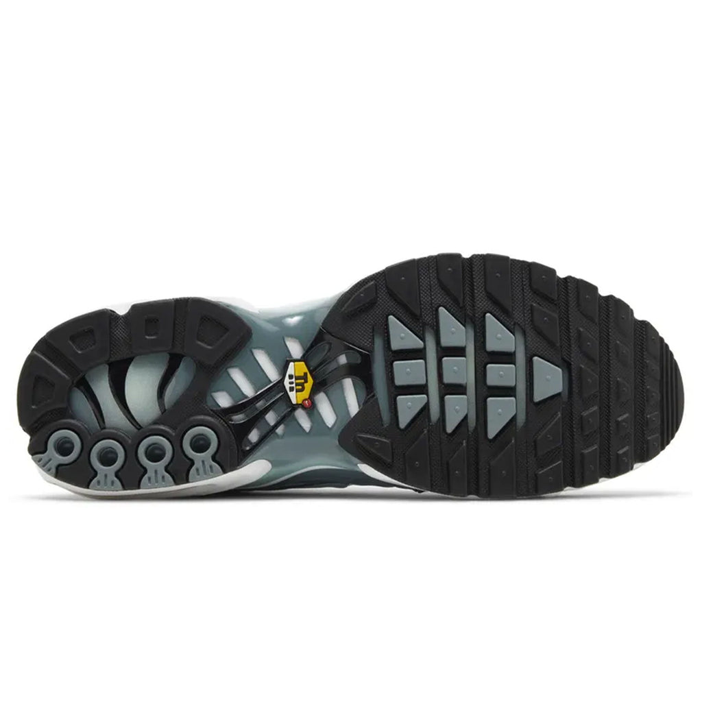 Nike Air Max Plus 'Palm Pack - Waterway'