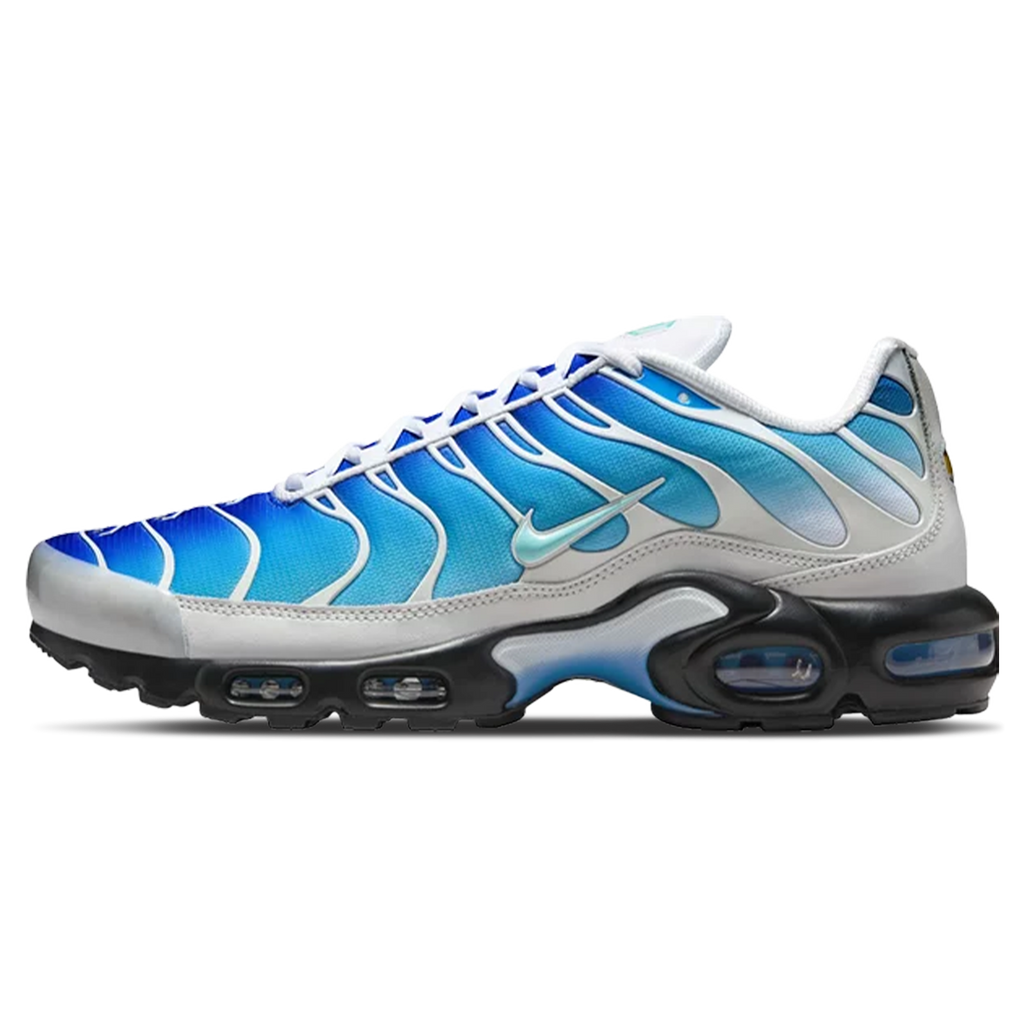One Block Down x Nike Air Max Plus 'Reverse Pack - Dry Water'