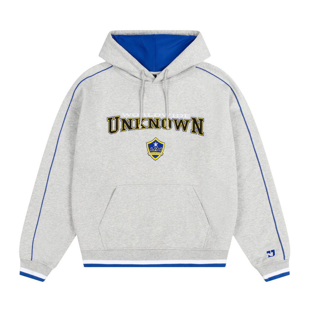 Unknown College Hoodie 'Grey'